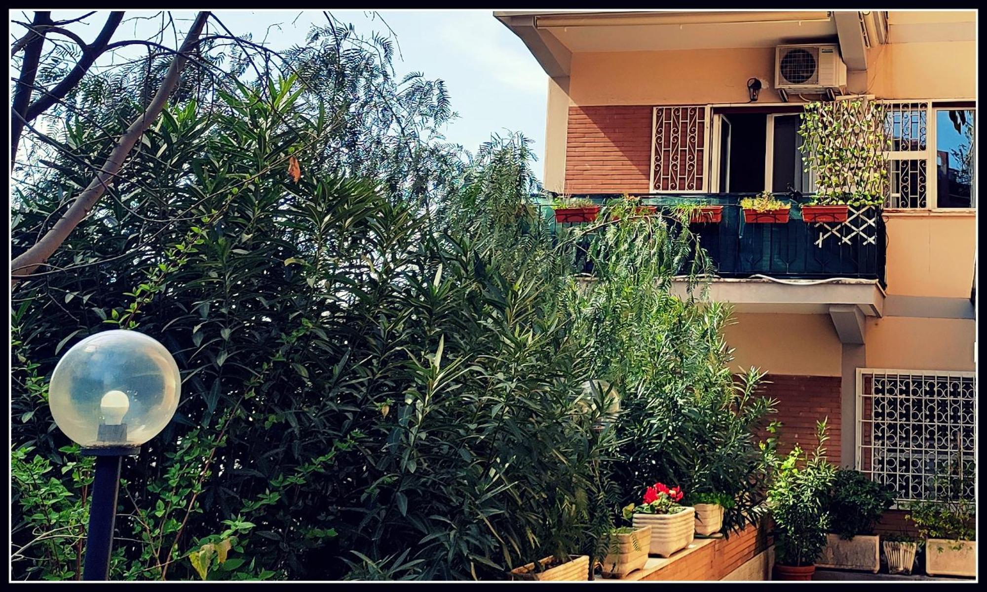 Il Cupolone In Pineta - Two Steps In The Pinewood Towards The Vatican!